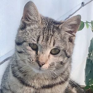 Meet your Posher, Linda